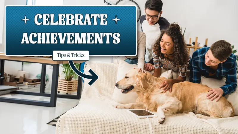 Why Your Dog Suddenly 'Gets It': The Brain Science Behind Those Breakthrough Training Moments