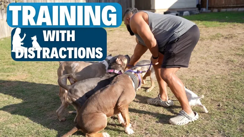 Your Training Sessions Are Failing Before They Even Start — Here's Why